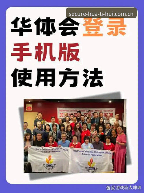 揭秘华体会无缝切换背后的技术真相：从入口到体验的深度评测